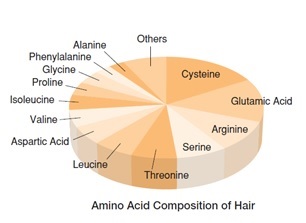 amino-hair